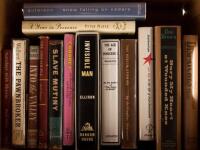 Shelf of modern literature