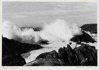 Point Lobos I - black & white photograph signed by Judith Biship