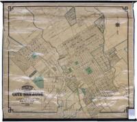 Map of the City of San Jose, Published by James A. Clayton Real Estate Agent