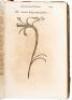 Monstrorum historia. Cum paralipomenis historiae omnium animalium Bartholomaeus Ambrosinus (...) volumen composuit - 6