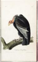 The Birds of America, from Drawings Made in the United States and Their Territories