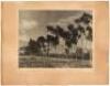 Three original photographs by Samuel Adelstein - 3