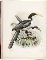 A History of the Birds of Ceylon