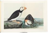 The Original Water-Color Paintings by John James Audubon for the Birds of America