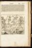 [Nuremberg Chronicle – Liber Chronicon, i.e.] Register des Buchs der Croniken und Geschichten mit Figure und Pildnussen von Anbegin der Welt bis auf dise unsere Zeit