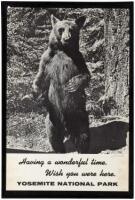 Having a wonderful time. Wish you were here. - Yosemite National Park tourism poster