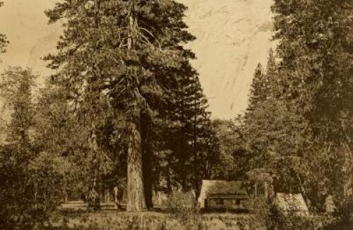 The Lower Hotel, Yosemite Valley