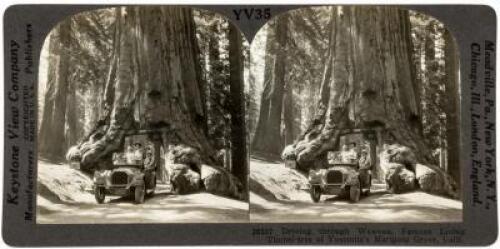 Set of 36 numbered views of Yosemite Valley