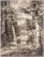 Glimpse of Merced River, Yosemite