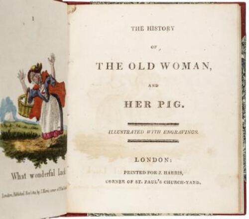 The History of the Old Woman and Her Pig