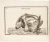 The Children's Cabinet; Or, A Key to Natural History