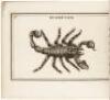 The Children's Cabinet; Or, A Key to Natural History - 2