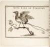The Children's Cabinet; Or, A Key to Natural History - 4