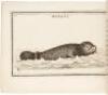 The Children's Cabinet; Or, A Key to Natural History - 5