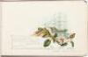Galaxy Album especially adapted for autographs and sketches - Arthur M. White