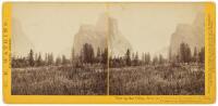 1867 Watkins Stereoview of Yosemite Valley, Mariposa Trail