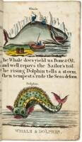 W. Belch's History of Fishes & Insects