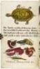 W. Belch's History of Fishes & Insects - 4