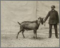 Deutsche Landwirtschafts-Gesellschaft. 30 Wander Austellung Hamburg 1924