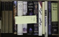 13 Volumes of Fiction