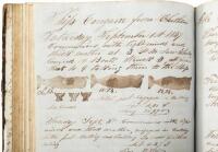 Manuscript Journal and log book for the ship Congaree out of New Bedford, commanded by Aaron C. Cushman, plus the manuscript account book for the voyage