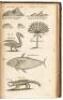 A Collection of Voyages. In Four Volumes... - 9