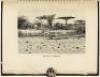 My African Safari - 3