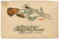 Popular Studies of California Wild Flowers
