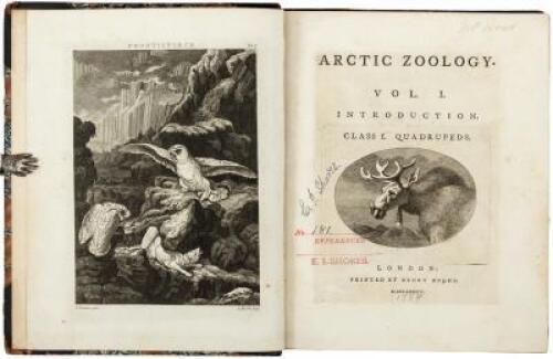Arctic Zoology