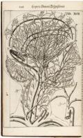 Corporis Humani Disquisitio Anatomica; in qua Sanguinis Circulationem in Quavis ...