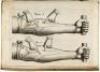 De motu cordis & sanguinis in animalibus, anatomica exercitatio... - 3