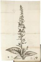 An Account of the Foxglove, and Some of its Medical Uses, with Practical Remarks on Dropsy, and Other Diseases