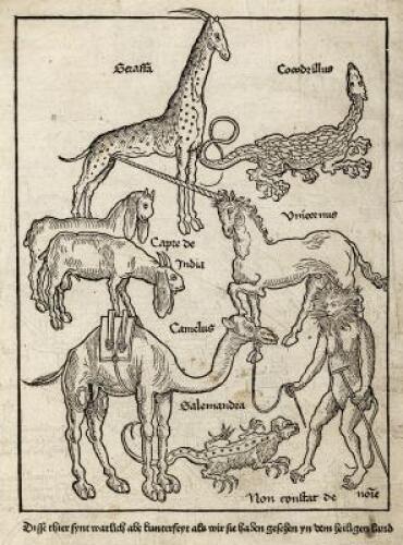 Fragment of the Breydenbach map of Palestine
