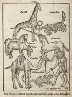 Fragment of the Breydenbach map of Palestine