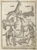 Fragment of the Breydenbach map of Palestine