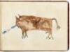 WITHDRAWN - Kiowa "Ledger Book" with original watercolor drawings, from Indian Territory - 8