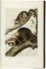 The Quadrupeds of North America - 4