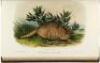 The Quadrupeds of North America - 11
