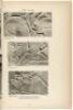 Rare French annuals of masterpieces of Art Deco interior design, 1928-29 - 3