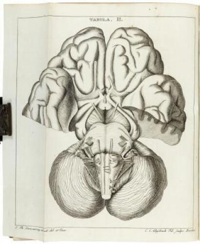 Dissertation Inauguralis Anatomica De Basi Encephali et Originibus Nervorum Cranio Egredientium Libri Quinque