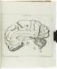 Dissertation Inauguralis Anatomica De Basi Encephali et Originibus Nervorum Cranio Egredientium Libri Quinque - 5