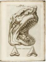 Elementorum myologi&aelig; specimen, seu musculi descriptio geometrica. Cui accedunt canis carchari&aelig; dissectum caput, et dissectus piscus ex canum genere