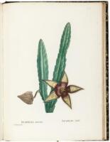 Plantarum Succulentarum Historia. Histoire des Plantes Grasses