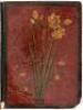 [Khosrow and Shirin - manuscript in Arabic script, with 12 miniature paintings] - 7
