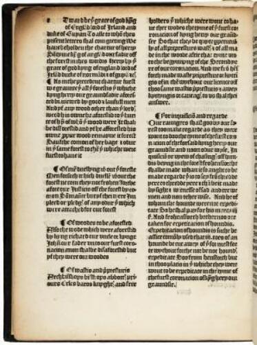 [Chronicles of London, i.e.] In this booke is conteyned the names of ye baylifs, custos, mairs, and sherefs of the cite of Londo[n] from the tyme of King Richard the Furst
& also thartycles of the chartur & libarties of the same cyte, and of the chartur 