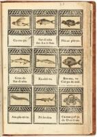 Collec&ccedil;ao de Pequenas Estampas - rare Portuguese Syllabary