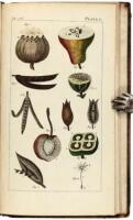 An Introduction to Botany, in a Series of Familiar Letters