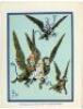 Pictures from the Wonderful Wizard of Oz...with a story telling the Adventures of the Scarecrow, the Tin Man and the Little Girl by Thos. H. Russell - 2