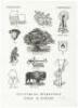 Pictorial Webster's. G. & C. Merriam Dictionary Engravings of the Nineteenth Century Printed Alphabetically as a Source for Creativity in the Human Brain - 6