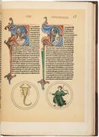 Lapidario del Rey D. Alfonso X. Codice Original